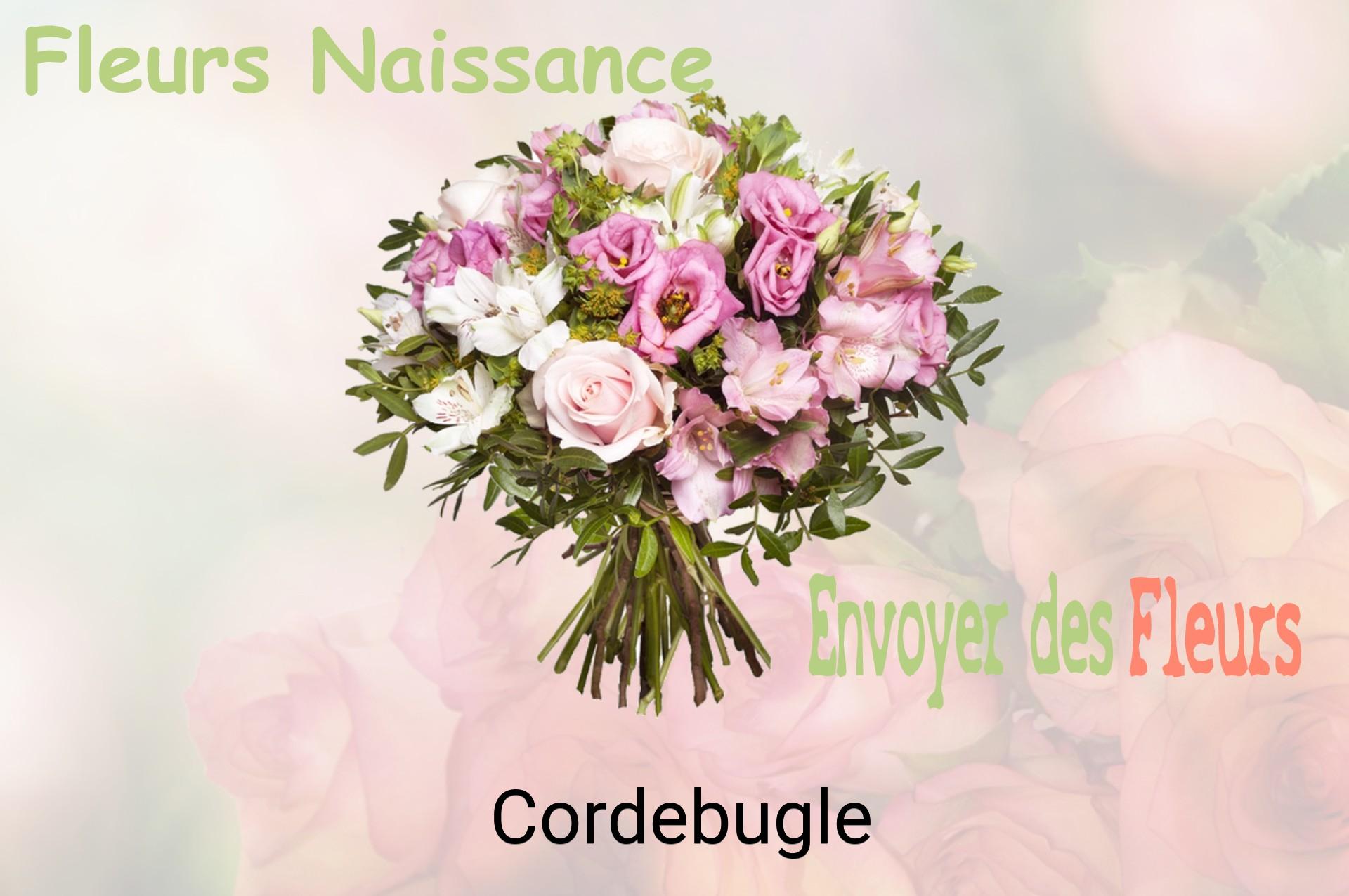 Bouquet de fleurs de naissance livré à Cordebugle